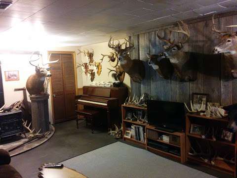 Bluewater Taxidermy